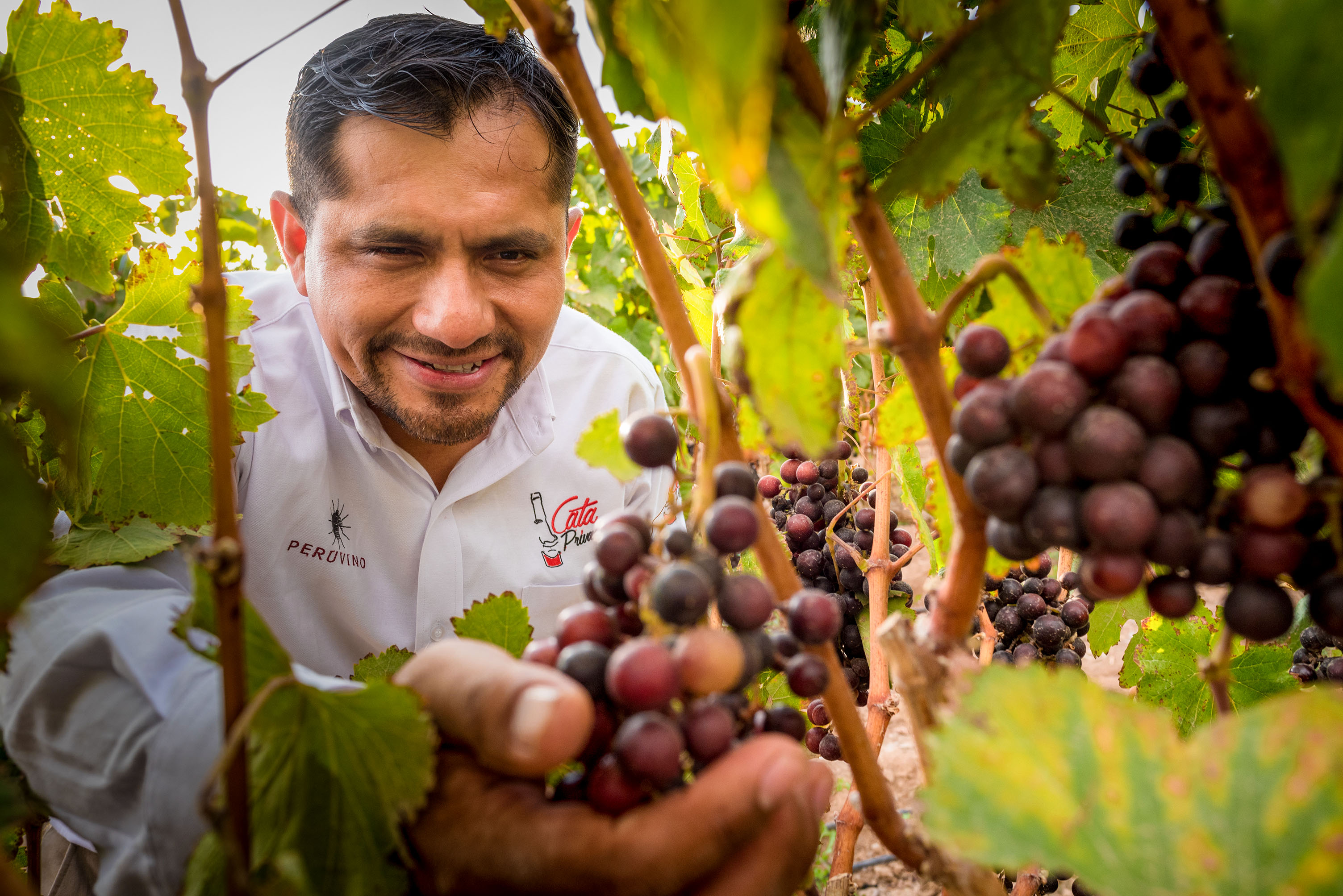 Pedro Cuenca Espinoza at Peru Vino 2022