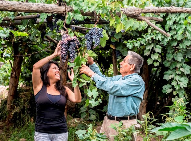 Lucero Villagarcía in the Vineyard